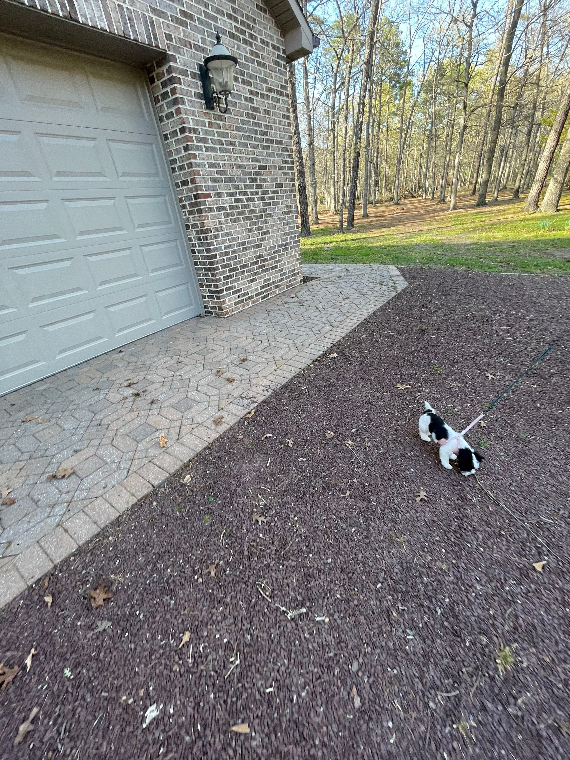 Pavers Cleaned, Garage and Concrete walls by SJ Exterior