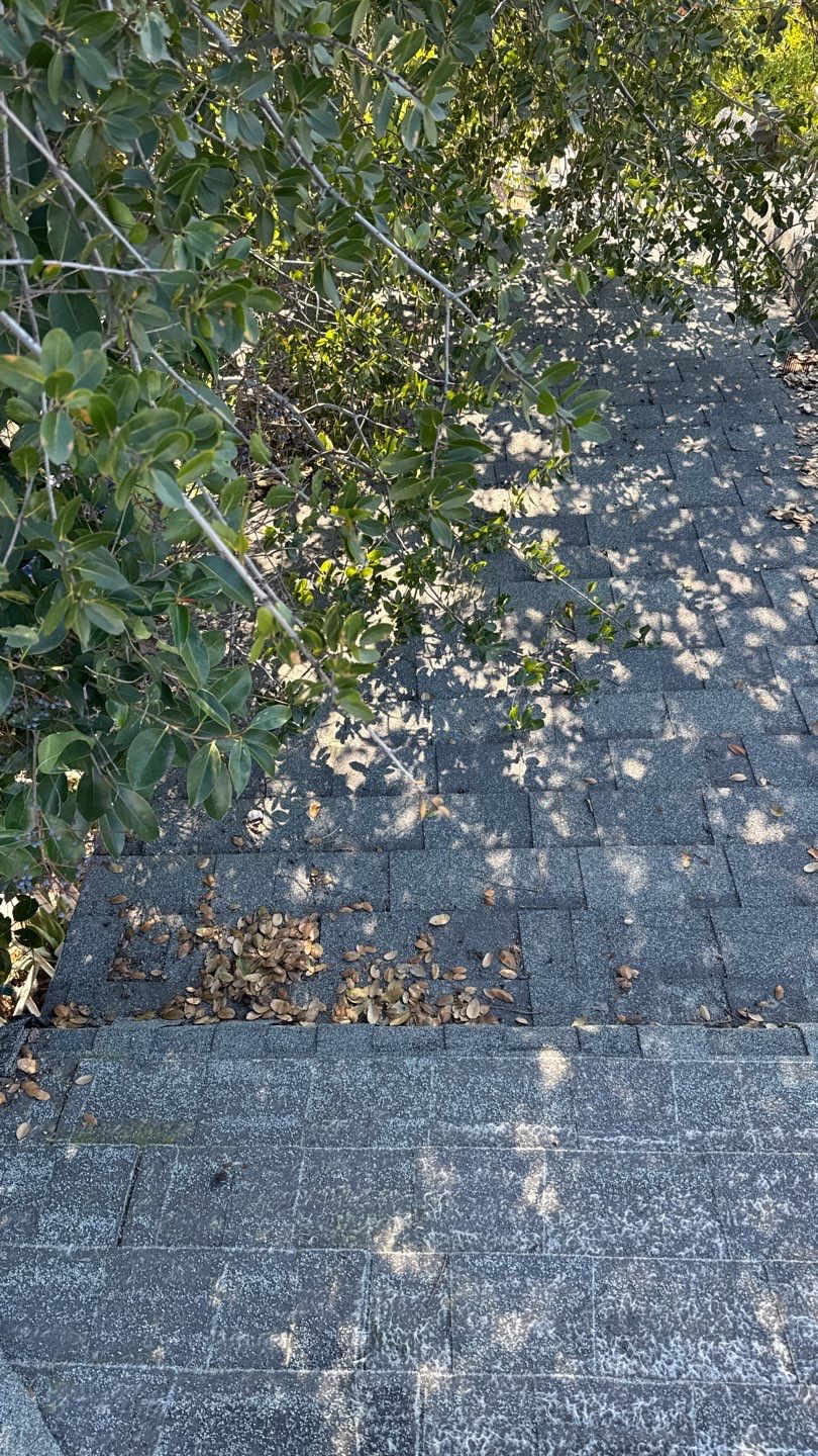 Project by NuLead Construction Inc by NuLead Construction Inc