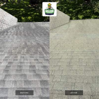 Residential Shingle Roof Cleaning in Orlando