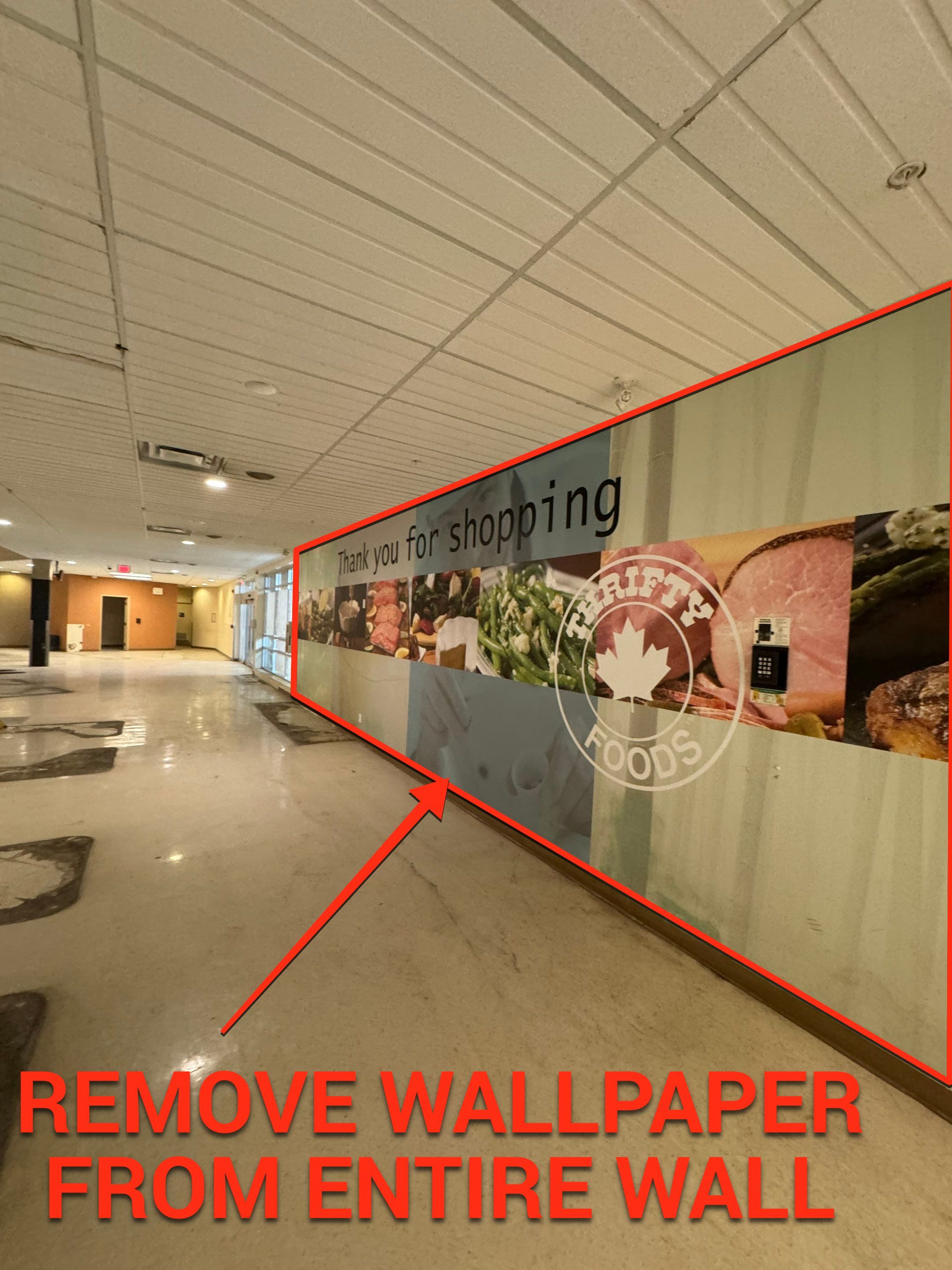 Commercial Prime & Paint Project by YVR Construction Group
