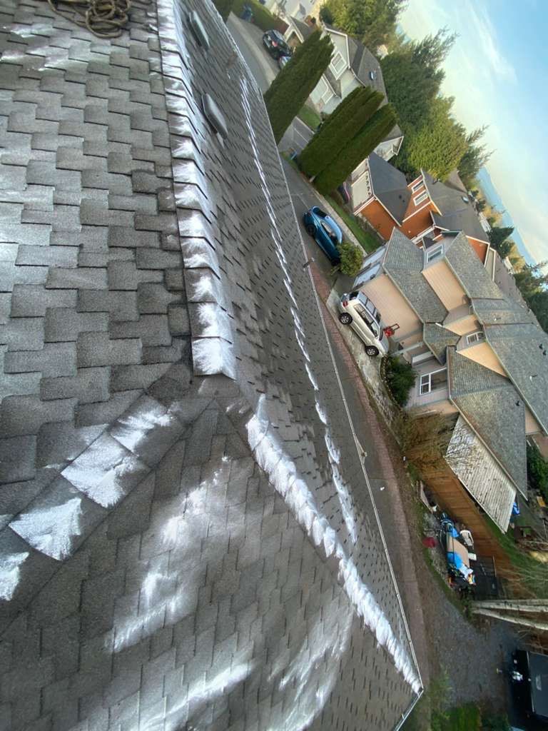 Roof Cleaning – Everett, WA by Everpro Construction