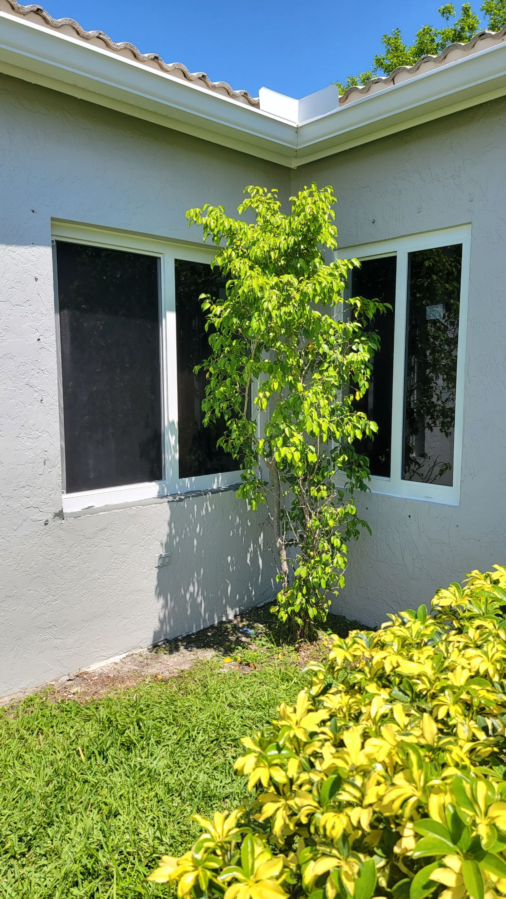 Project in Deerfield Beach by SIW Solutions
