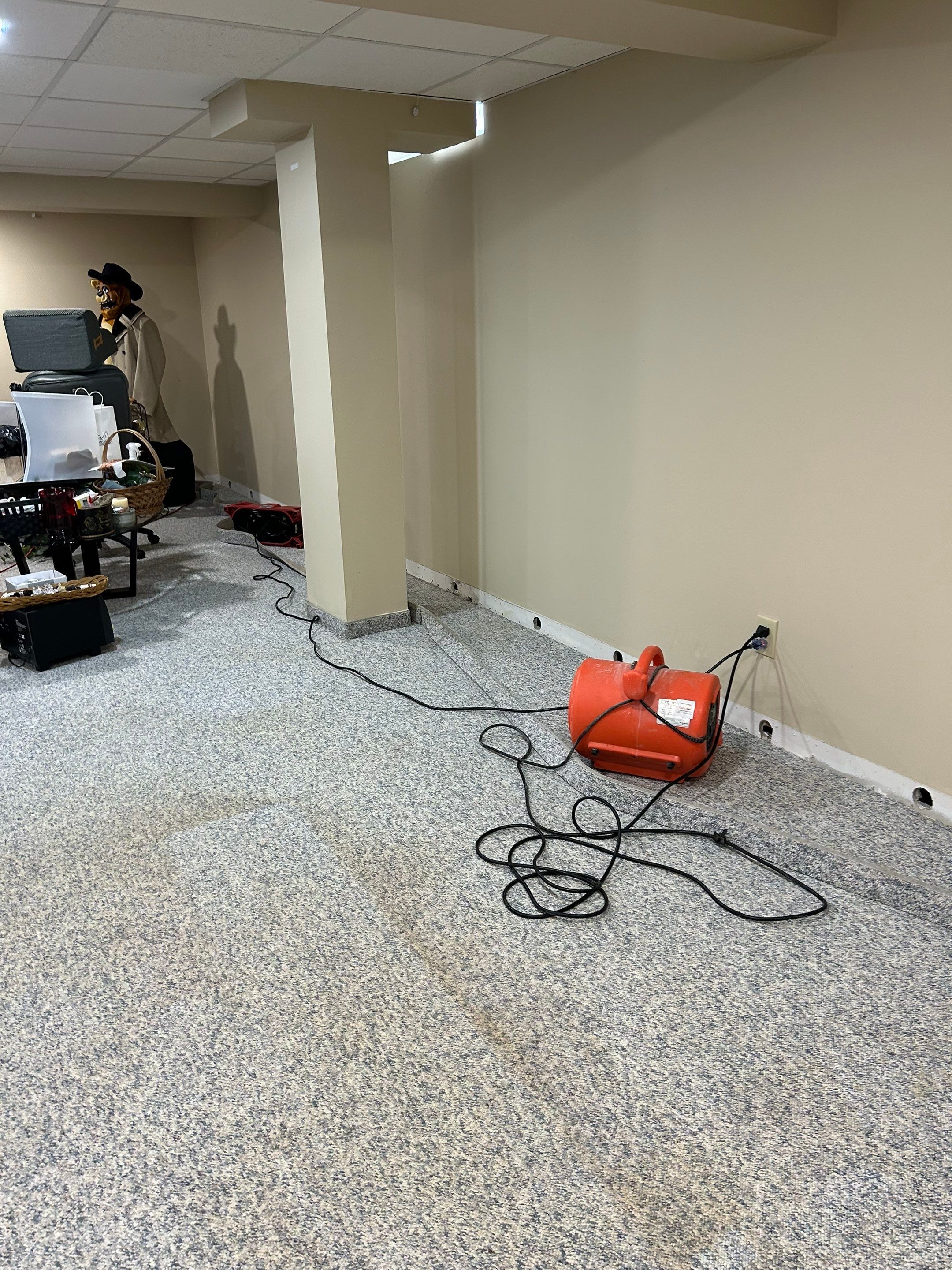 Project in Sterling Heights by EzDry Water Mitigation & Property Restoration