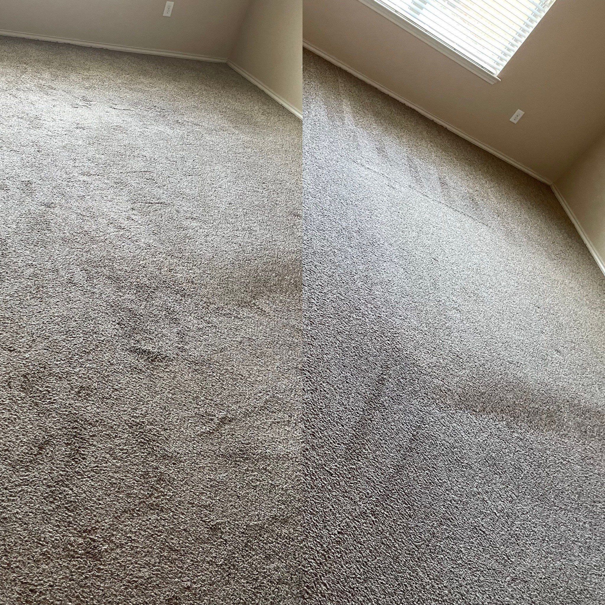 carpet cleaning service in progress with visibly cleaner sections of carpet shown in the photo