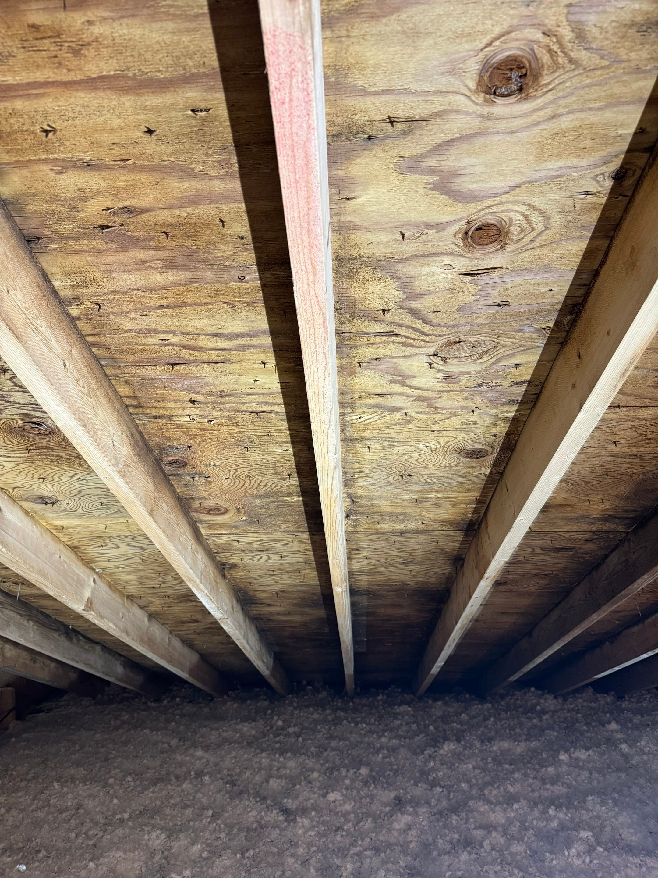 Attic Mold Remediation by Home Guarantee, LLC