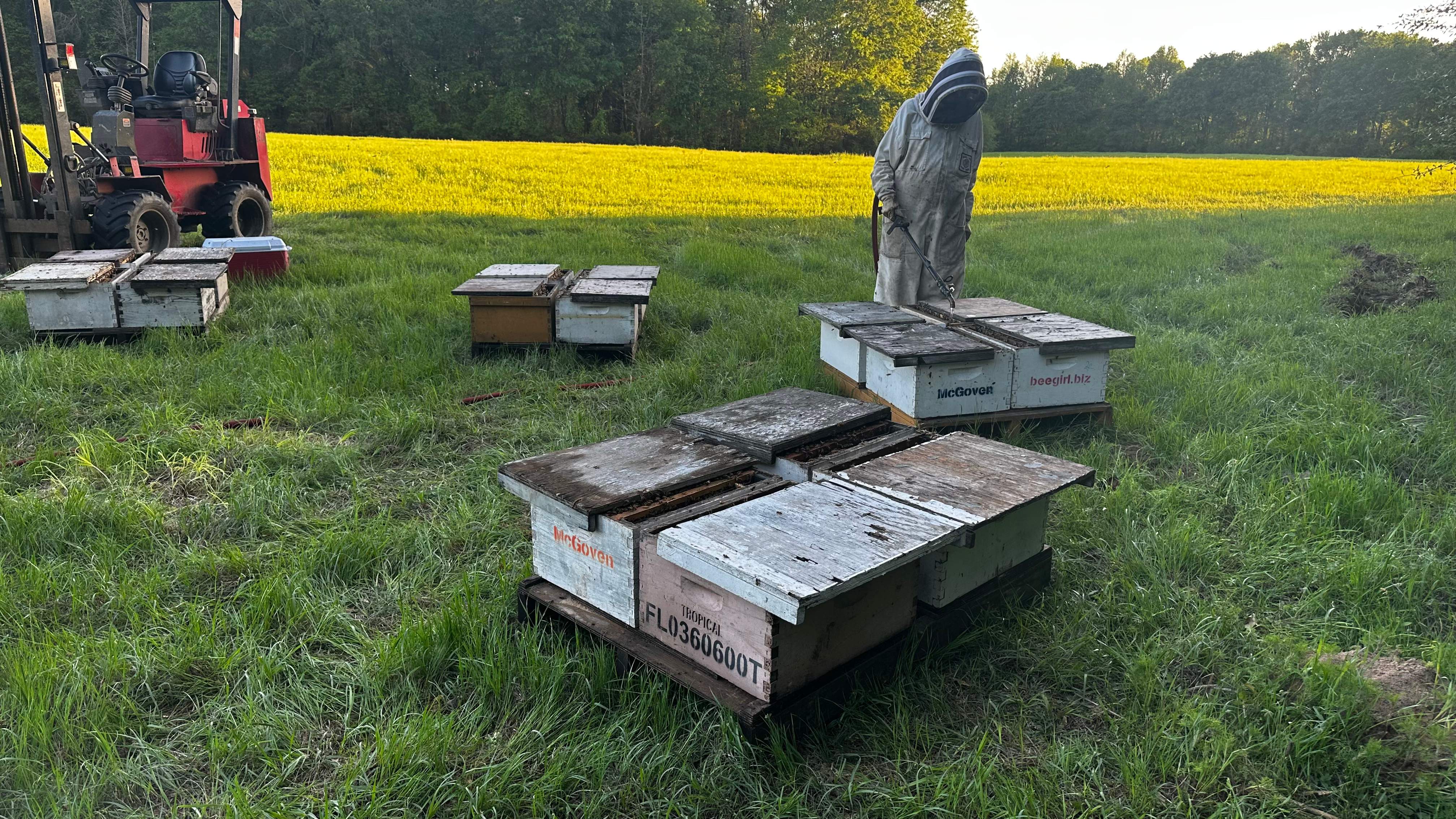 Traylor's Hay Meadow Apiary by Rockwall Honey Bee Company