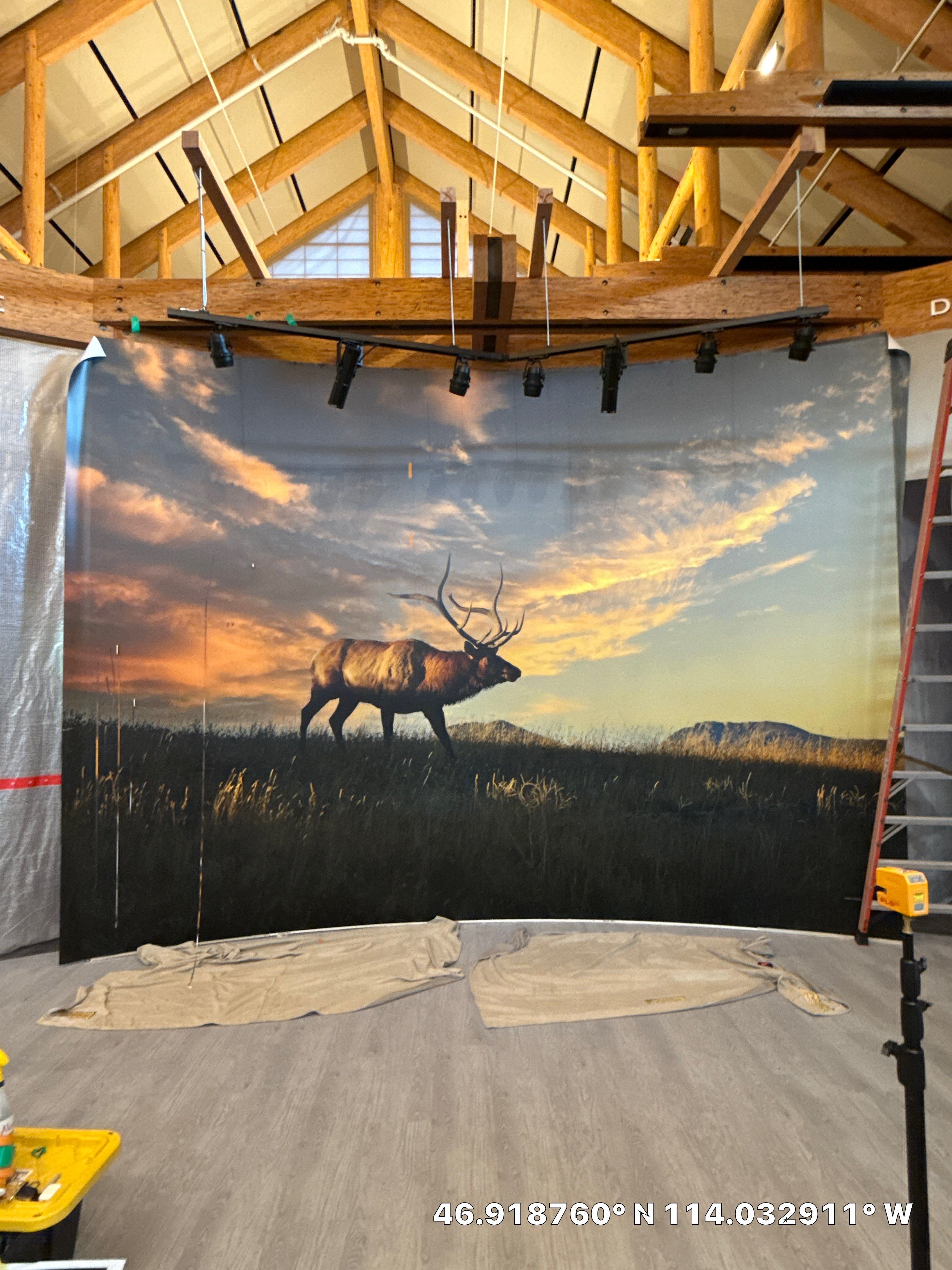 Rocky Mountain Elk Foundation Wall Mural  by FASTSIGNS of Missoula