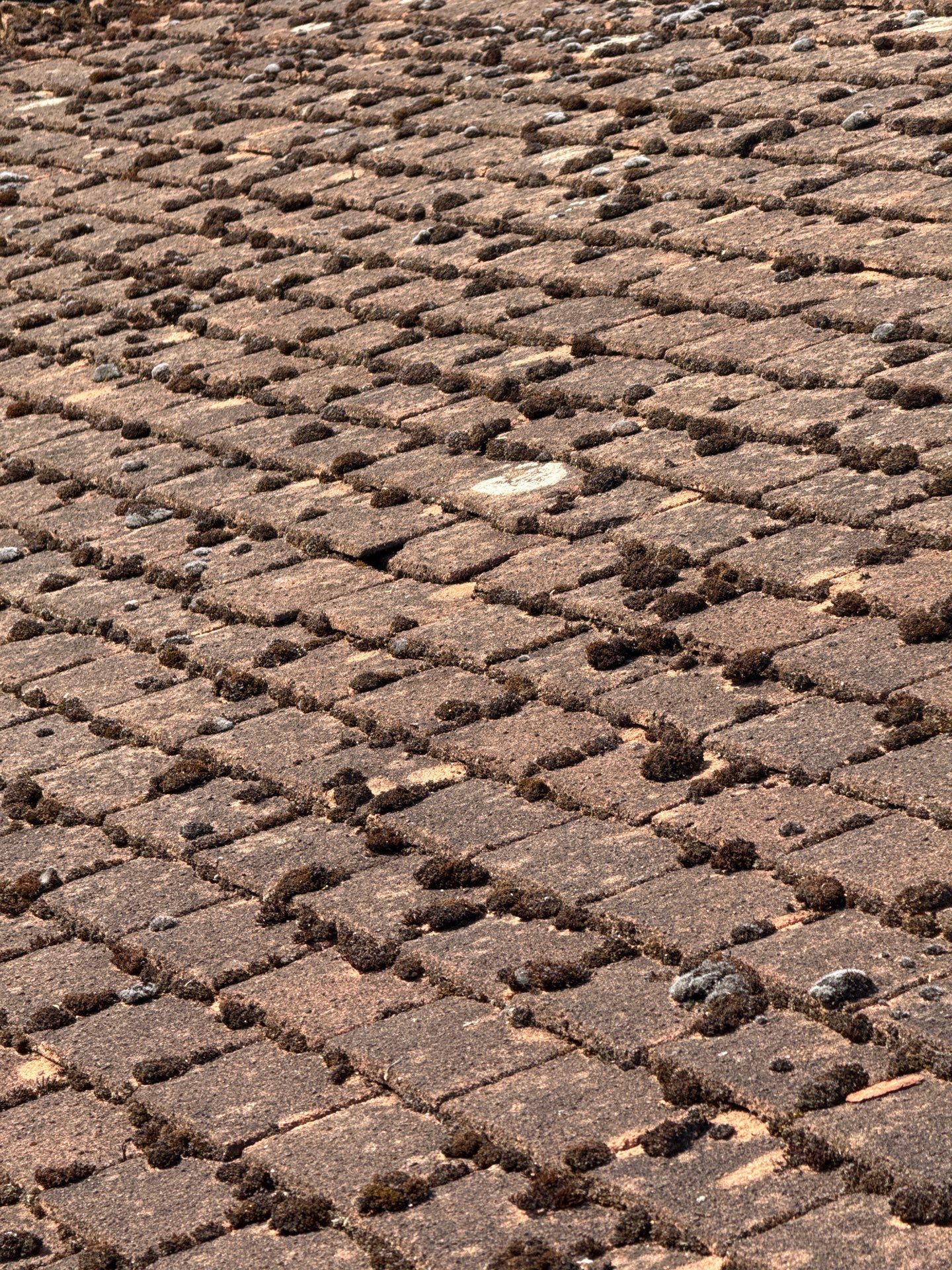 Roof Clean - Gutter Clean - Biocide Treatment by Ges Exterior Cleaning ltd