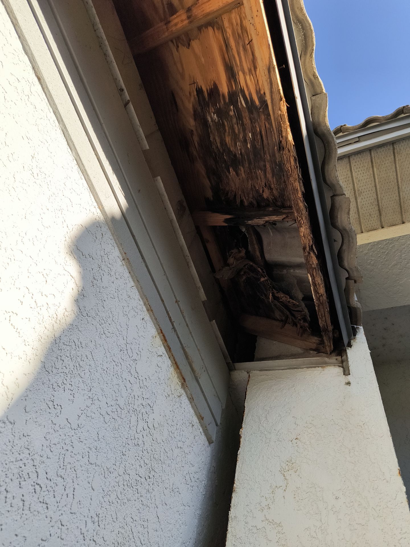 Complete Roofline Upgrade with Soffit, Fascia & Gutters Tampa FL by Gutter Professors