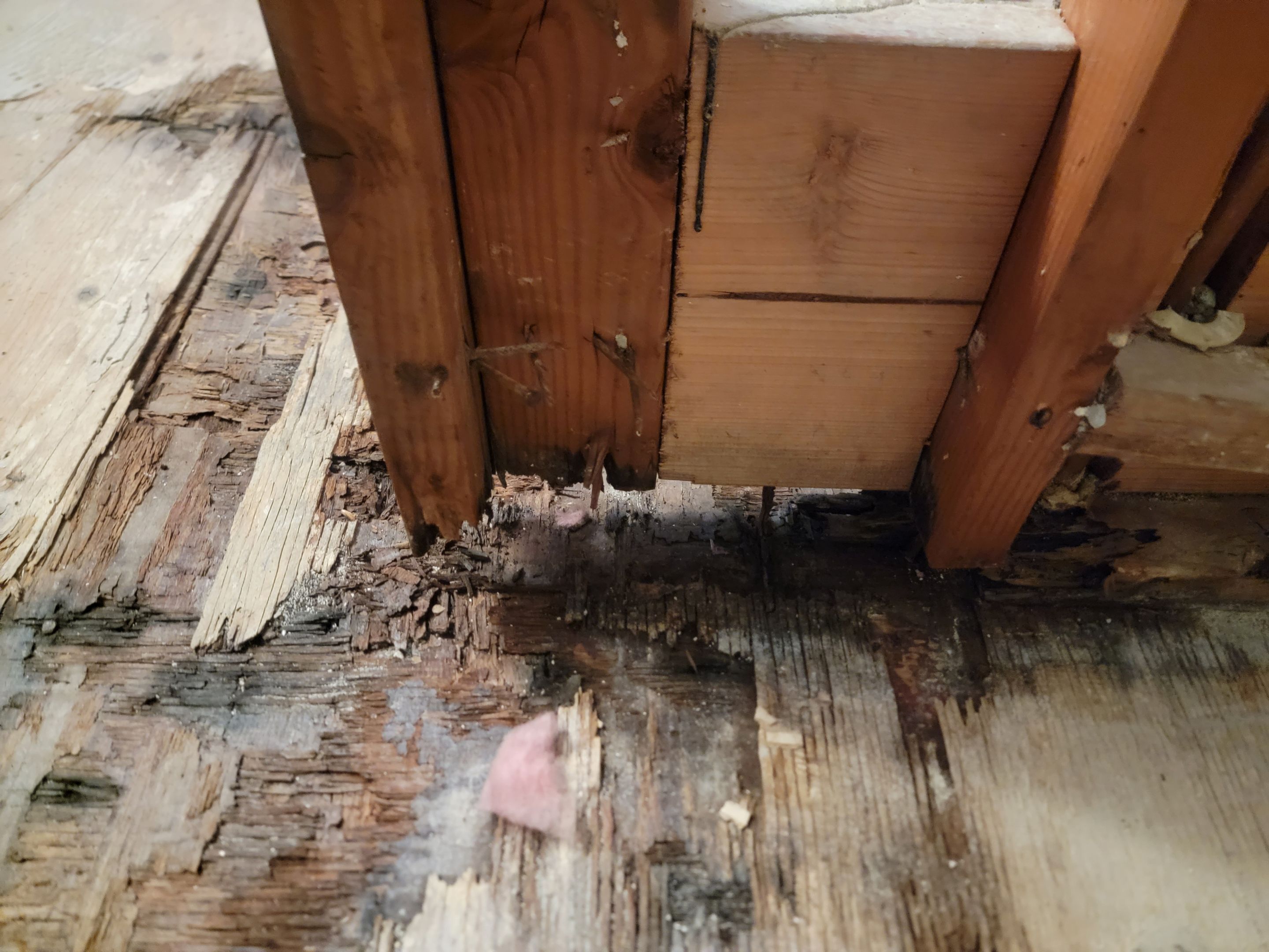 Water Damage and Restoration Completion by Smart Dry Restoration