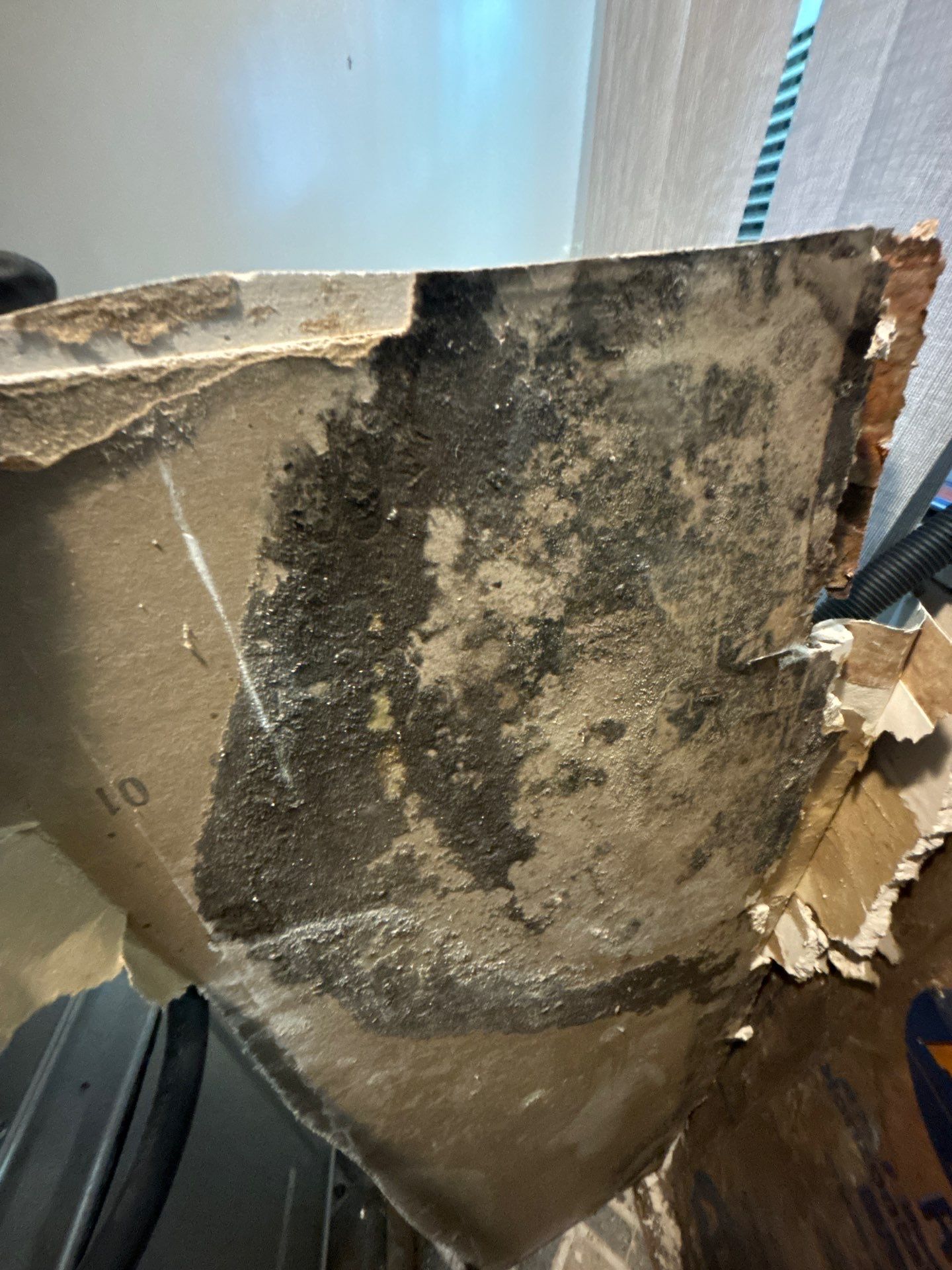Bradenton Water Damage Restoration by Ampm Restoration Services