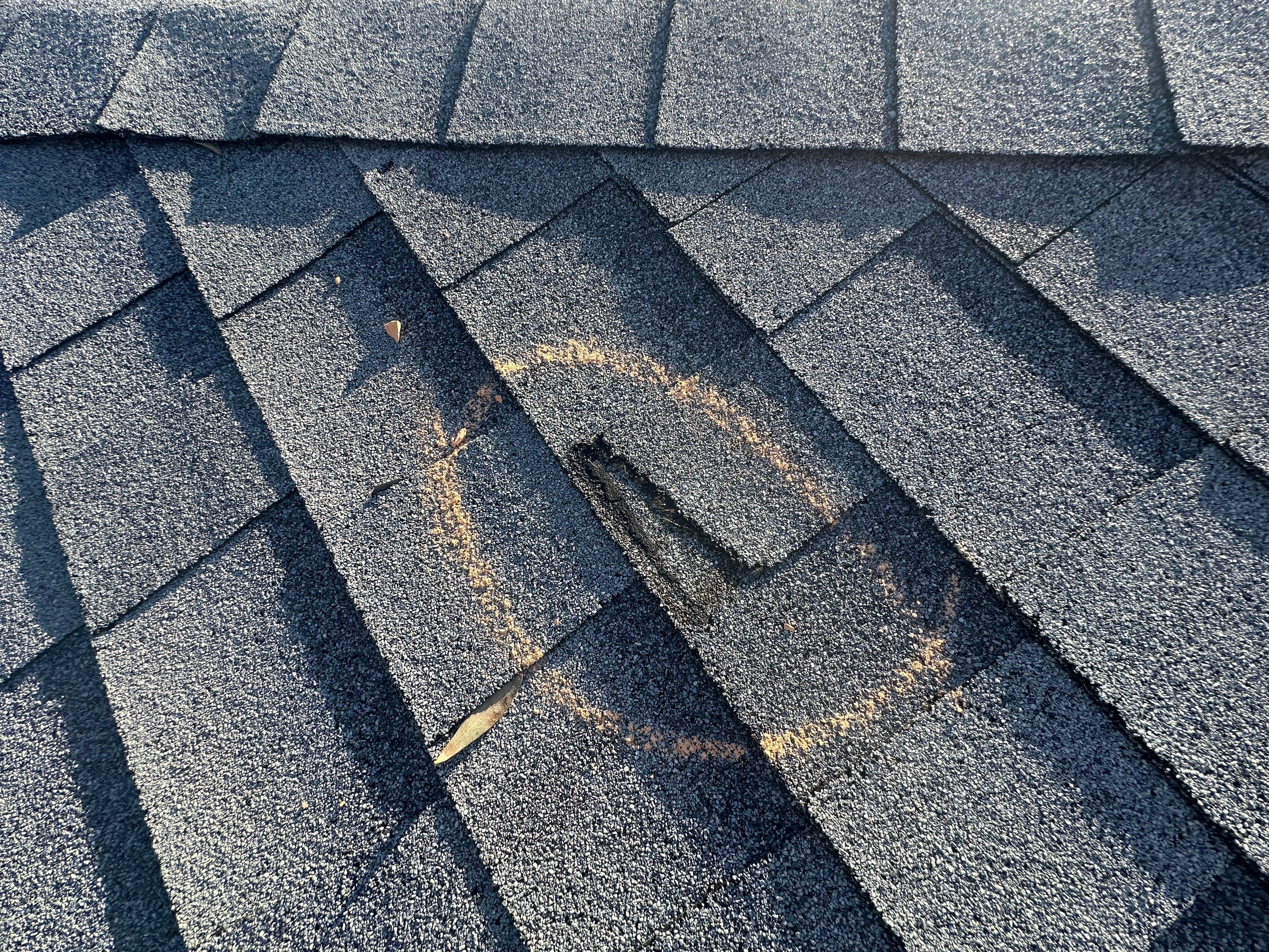 Flood Damage Claim in Tampa by FLAPA & KeyStone