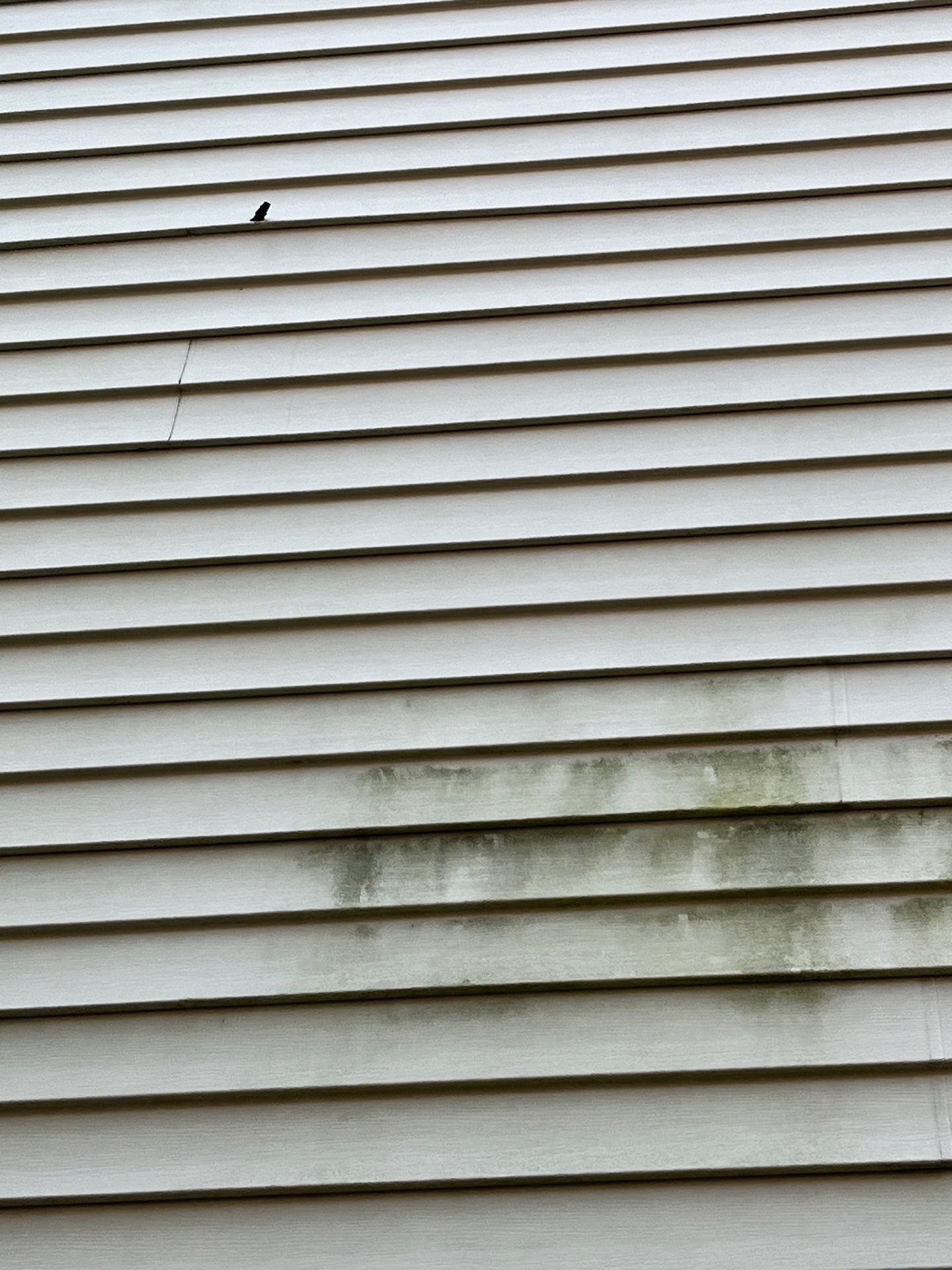 Housewashing  using Algaecide, soft wash soap by Northern Power Washing LLC.
