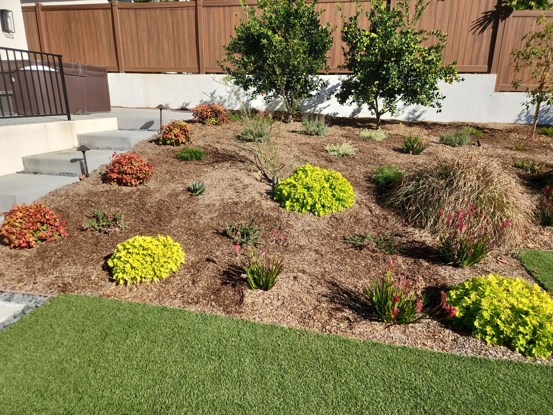 Modern Planting Installation and Low-Maintenance Landscaping in San Diego by Yard Techs