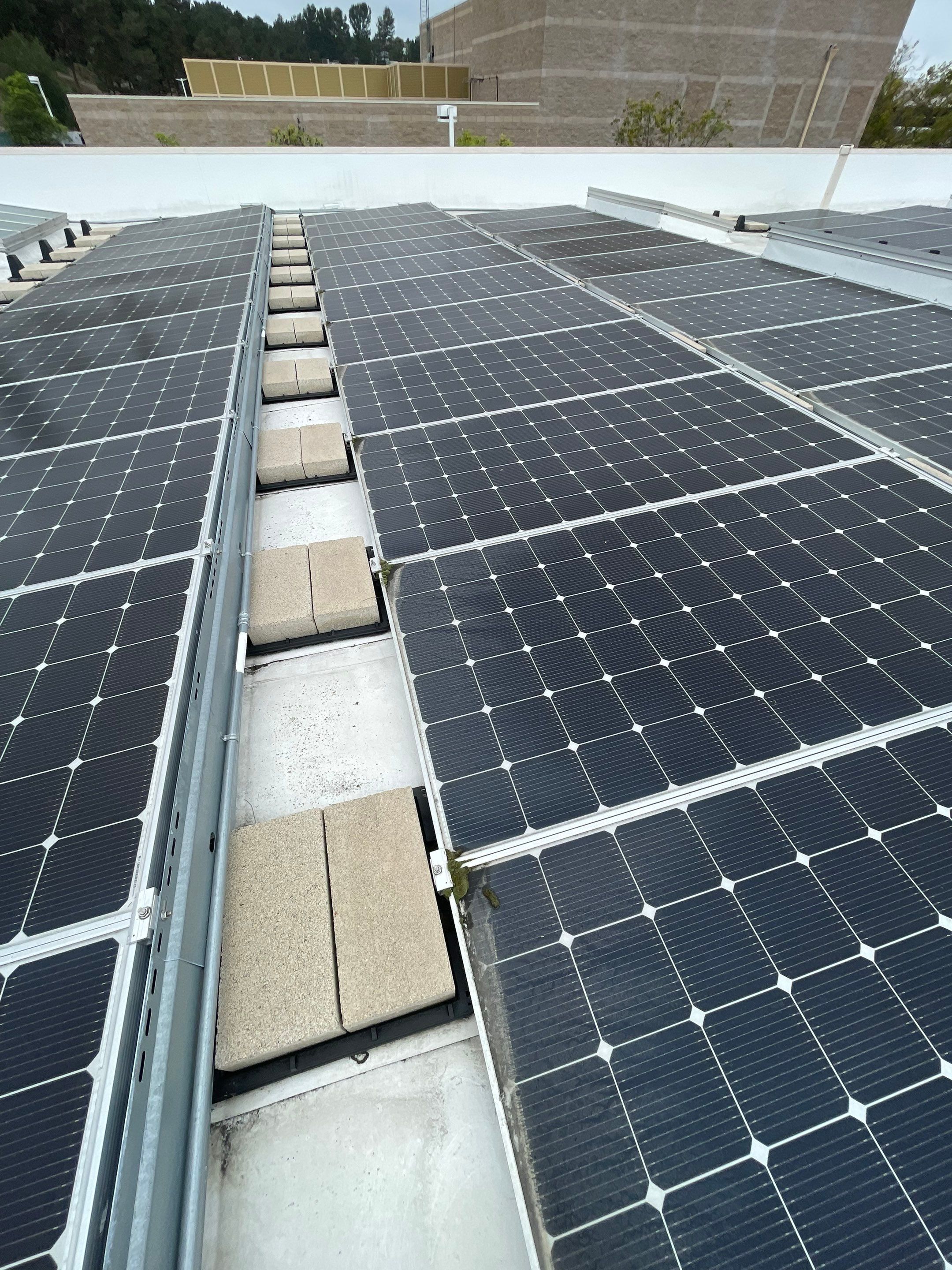 Commercial Solar Cleaning by Palm Coast Solar Cleaning