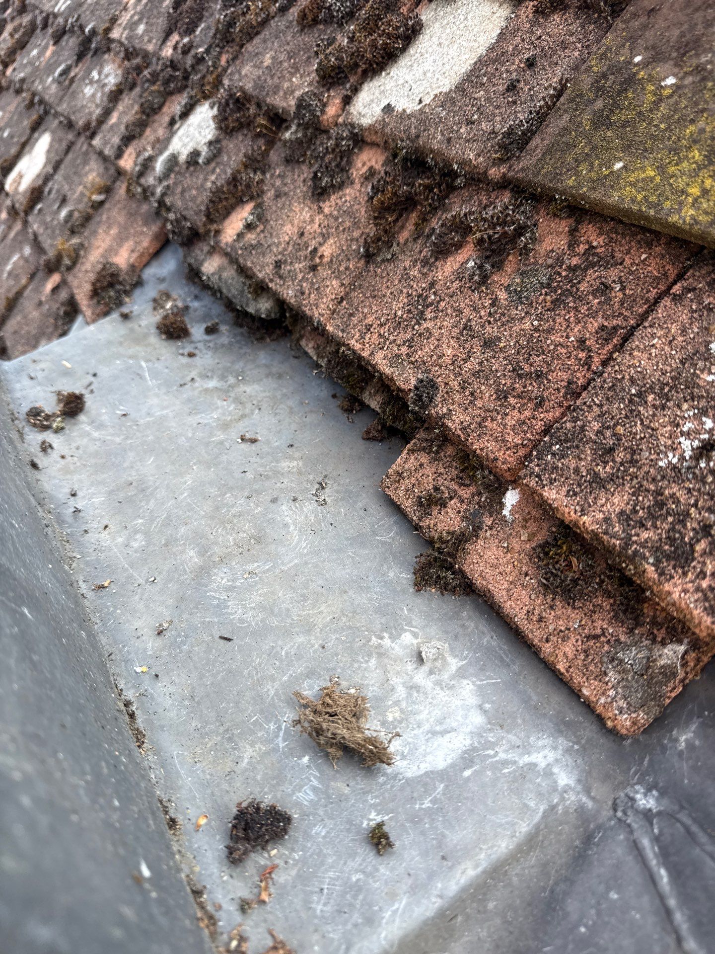 Roof Clean - Gutter Clean - Biocide Treatment by Ges Exterior Cleaning ltd