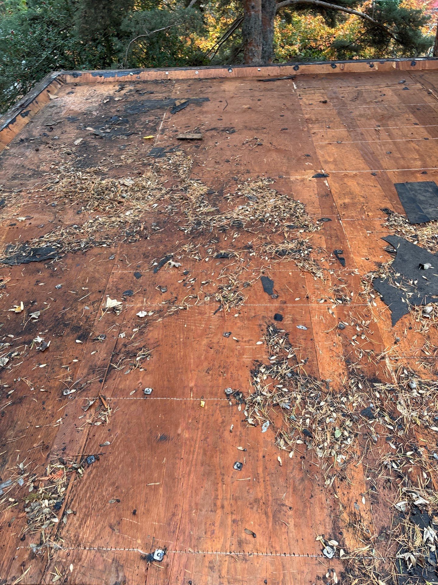 Project in Portland by Peak Exteriors LLC