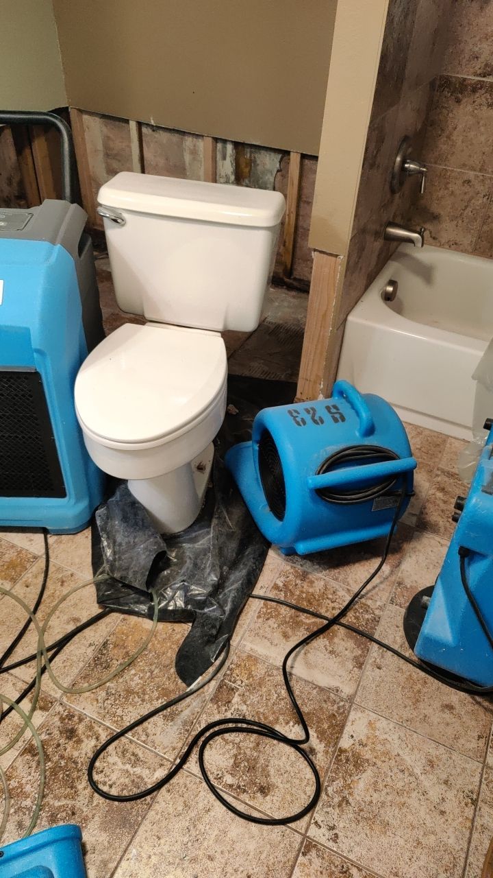 Water Damage and Mold Remediation by Accountable Home Services