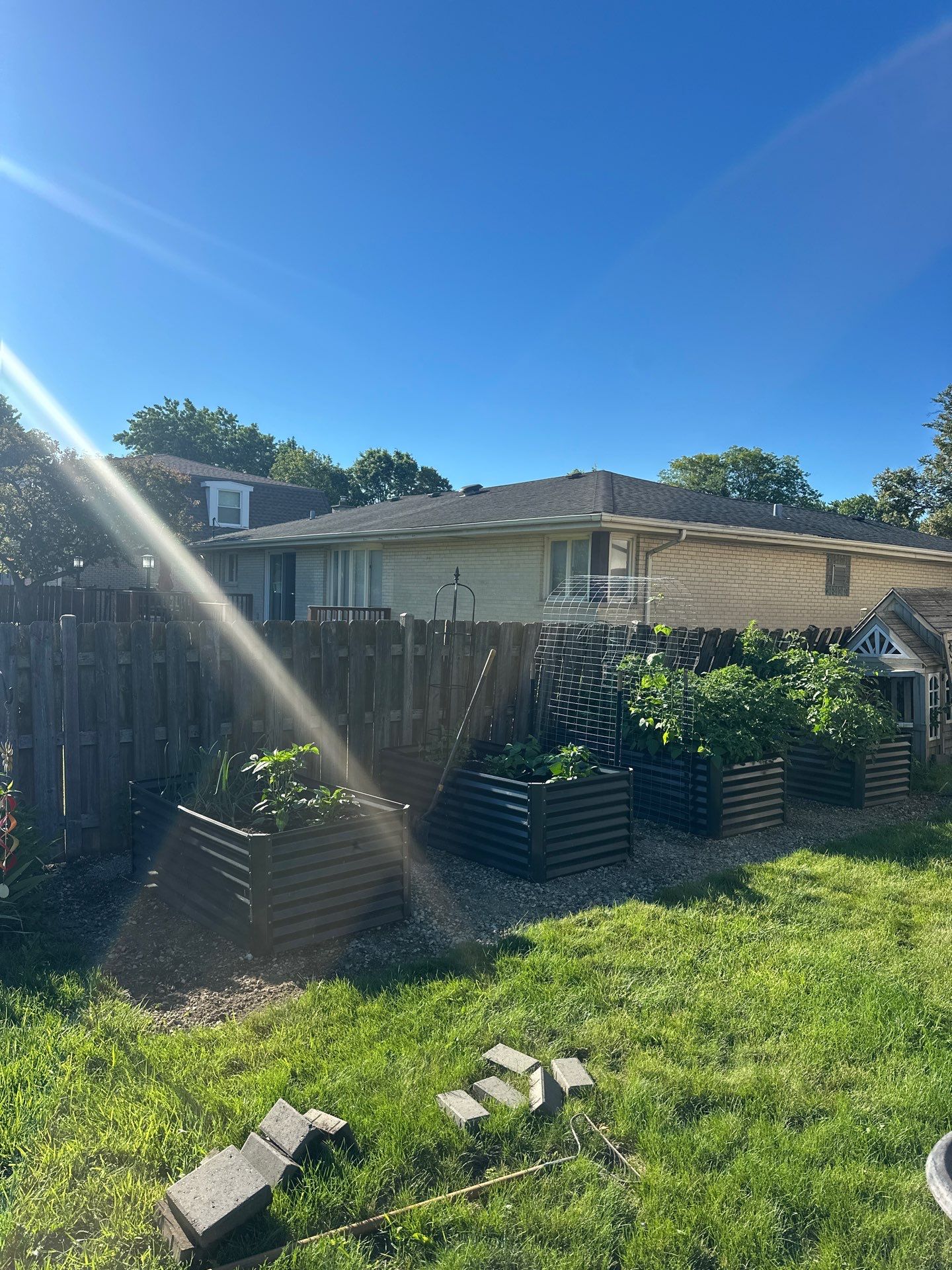 Kevin Z. - Mount Prospect, IL by A&N