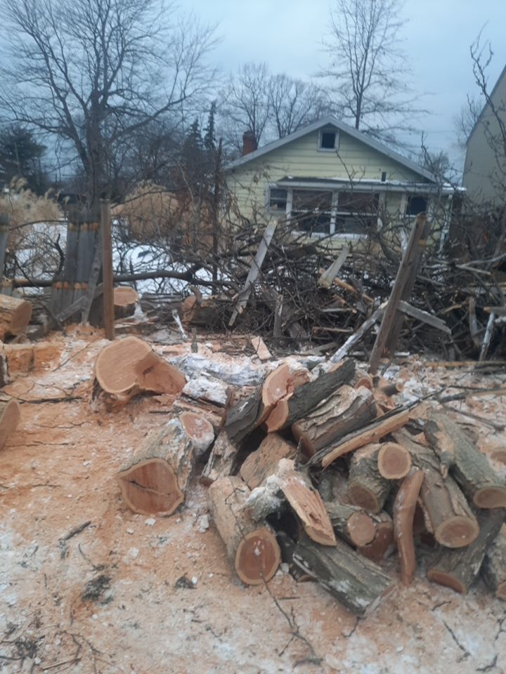 Storm Damaged Tree Removal  using Tree Removal by Mike Jones & Sons Tree Service LLC 