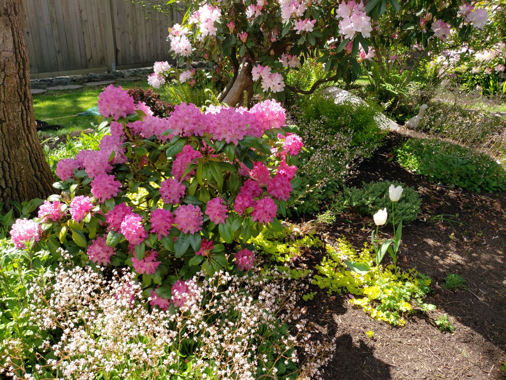 Garden Care - Rockland Residence by Habanero Garden and Exterior Care