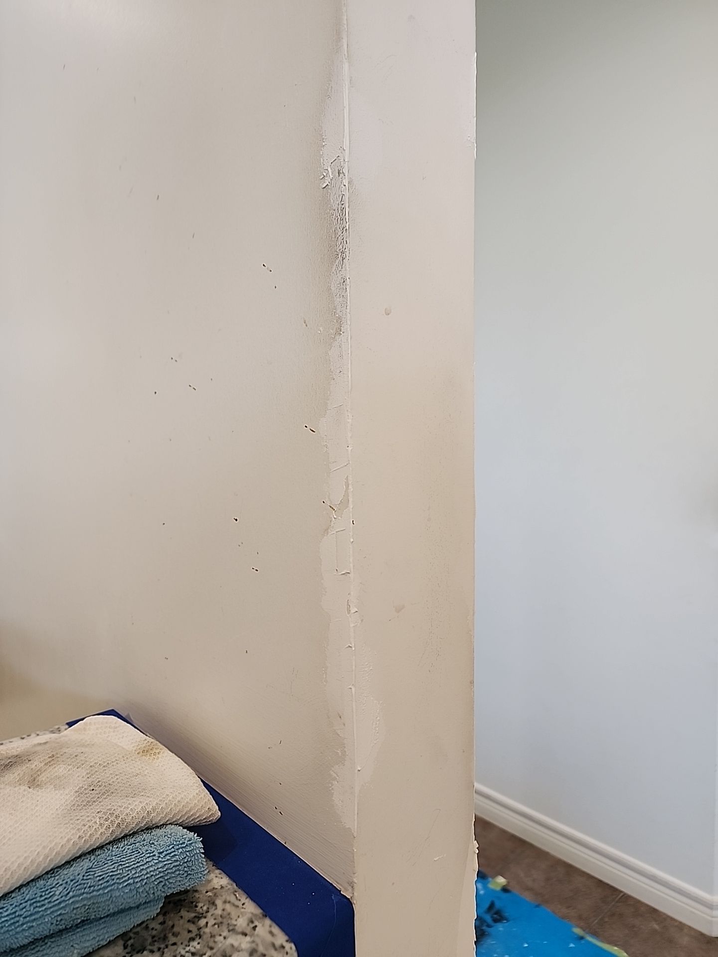 Project in Toronto by GTA HOME PAINTING