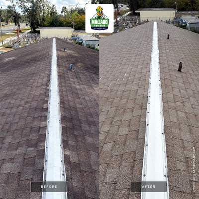 Shingle Roof Cleaning