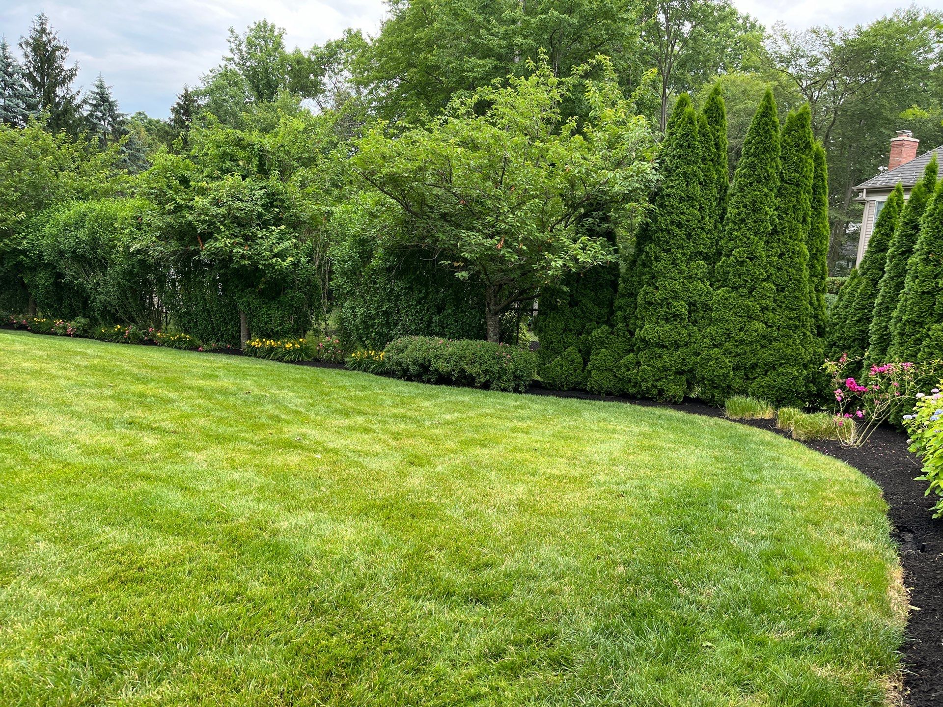 Comprehensive Lawn Care in Warren by Ants Plants