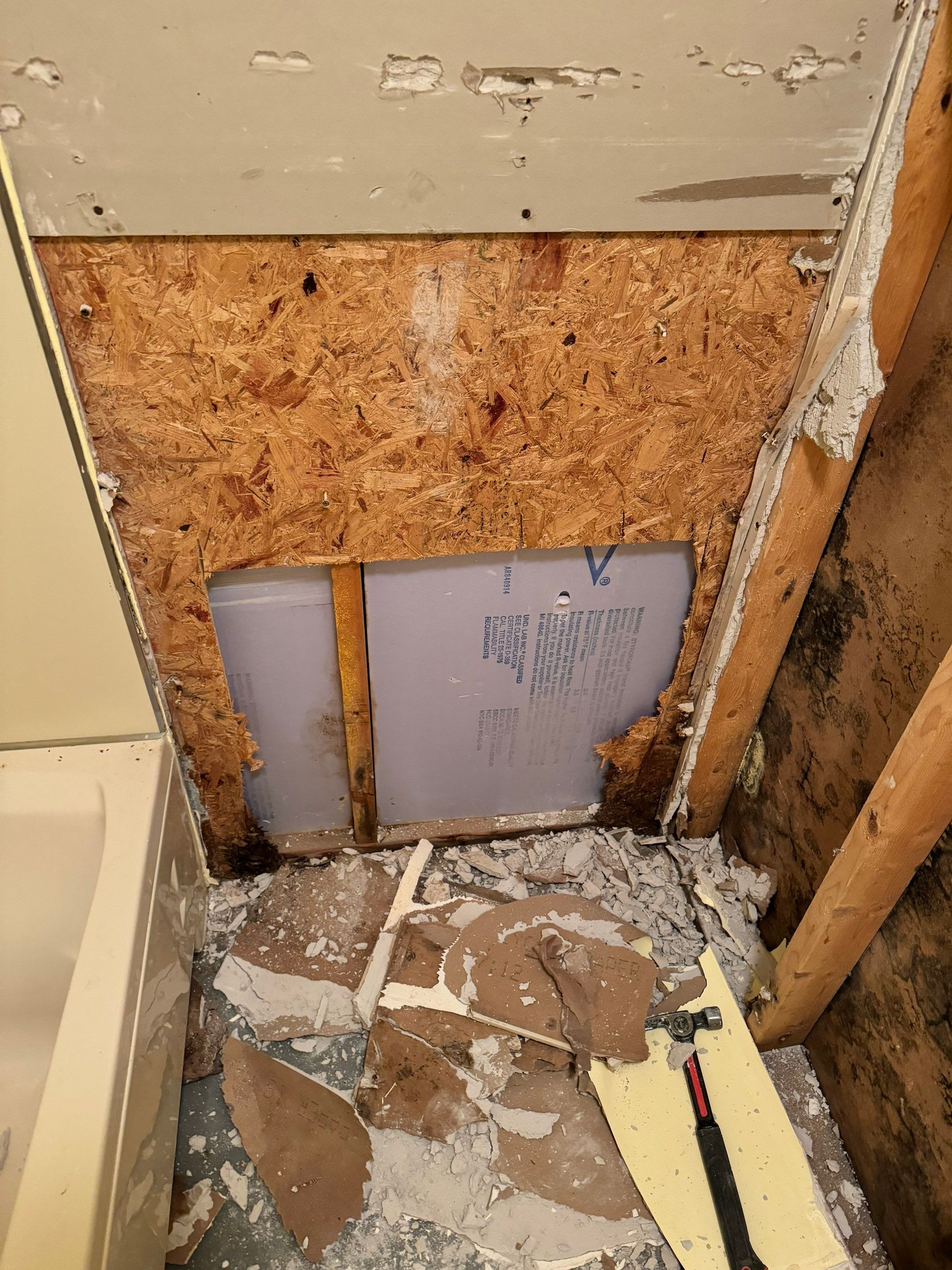 Mold Remediation using Home Guarantee by Home Guarantee, LLC