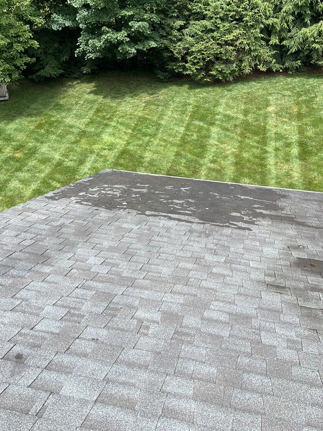 Gutter Installation using White gutters and roof clean up by A Plus Exterior