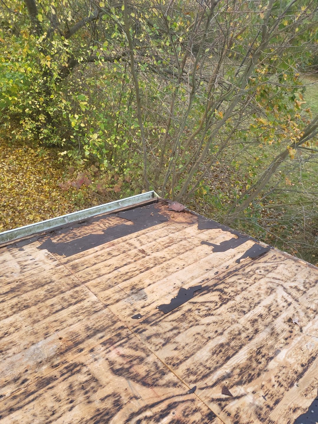 ATLAS PINNACLE COLOR: COASTAL GRANITE DRIP EDGE: BLACK by Eagle Eye Roofing