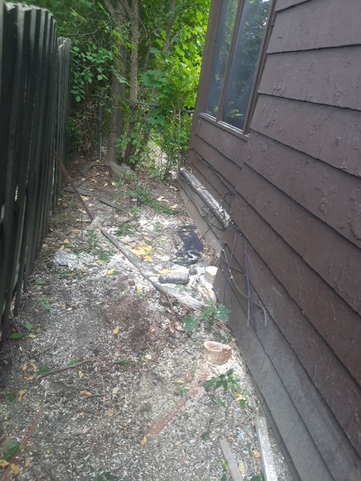 Tree Removal using Tree Removal by Mike Jones & Sons Tree Service LLC 