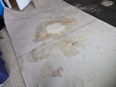 Pet Urine Pad Removal, Extraction and Cleaning