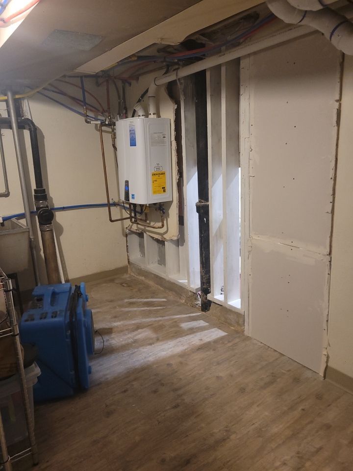 Mold Remediation by Accountable Home Services