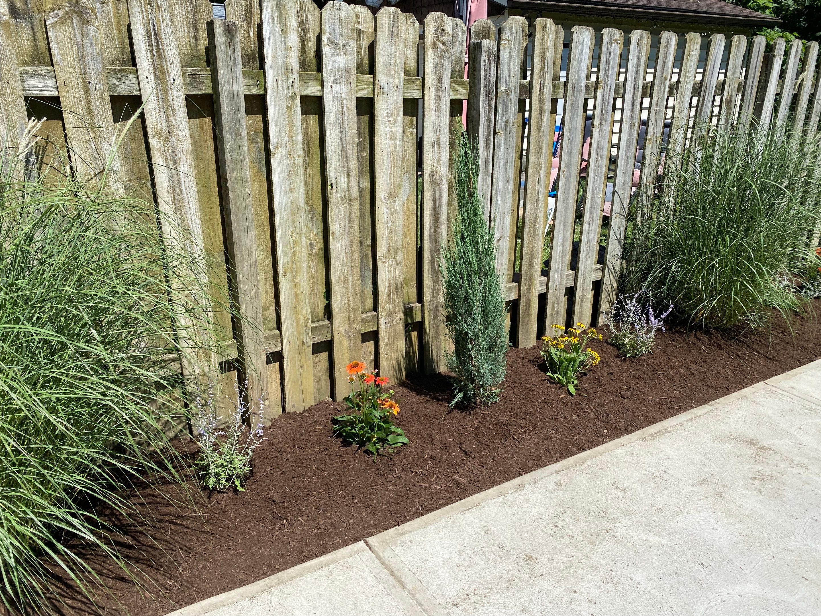 Green Fenceline Install by Elm Rose Gardens