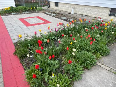 Block O Patio Project