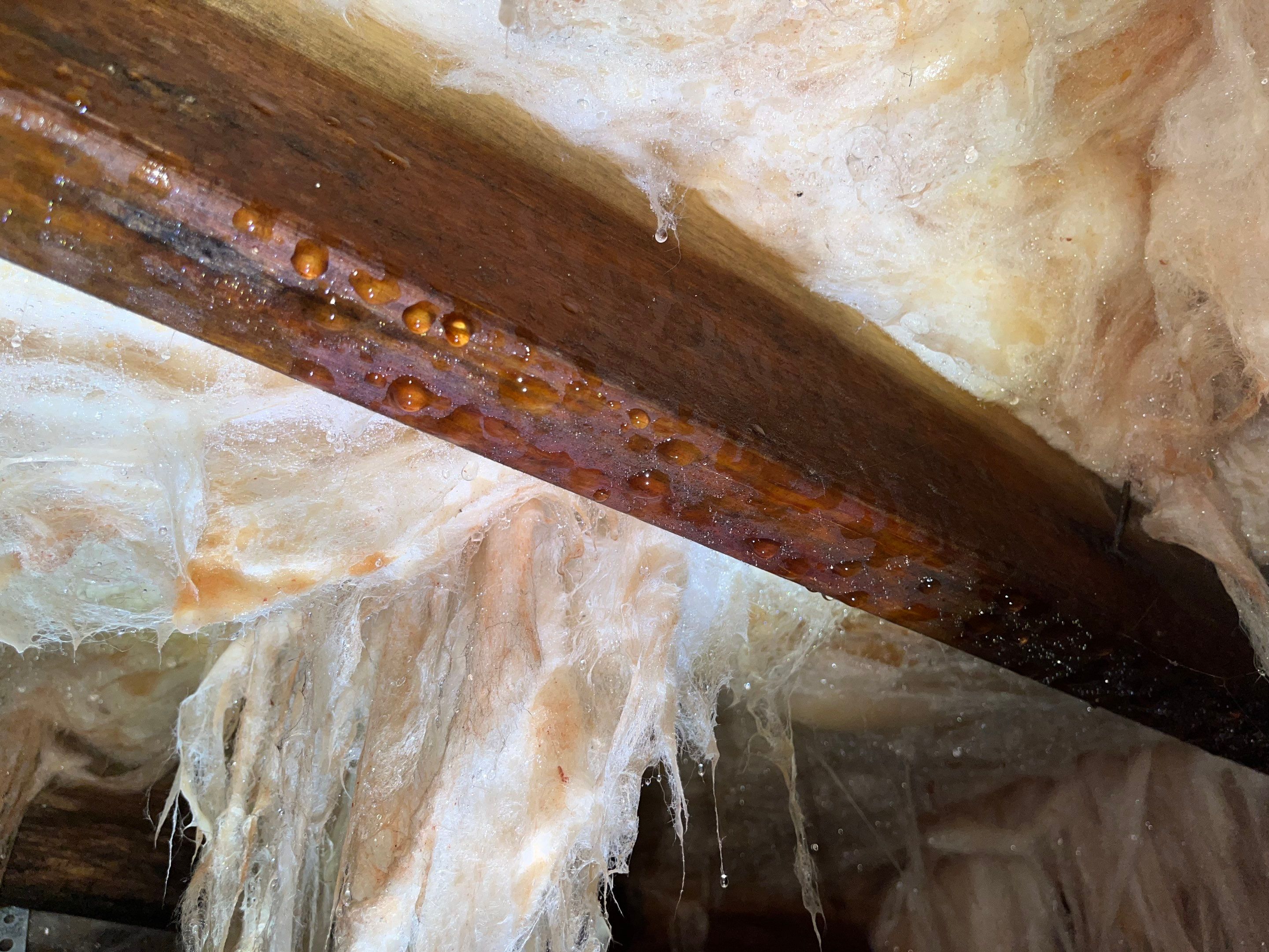 Premium Encapsulation with Bora-Foam using Bora-Foam Insulation by Impact Crawlspace