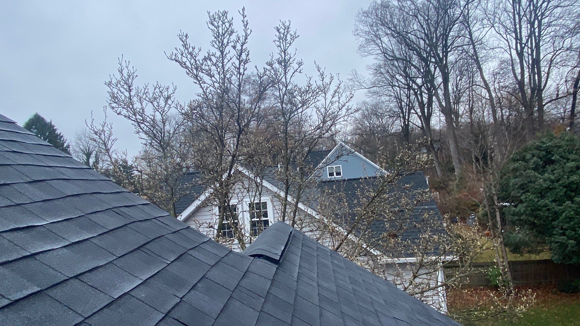 Falls Church: Residential Roof Replacement with CertainTeed Landmark Pro in Max Def Charcoal Black by RM Banning, Inc.