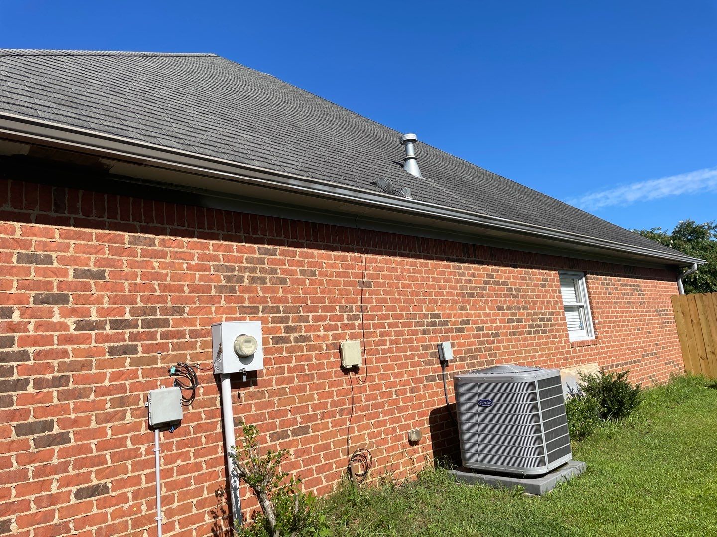 Downing Park - Paint by Pillar and Pine