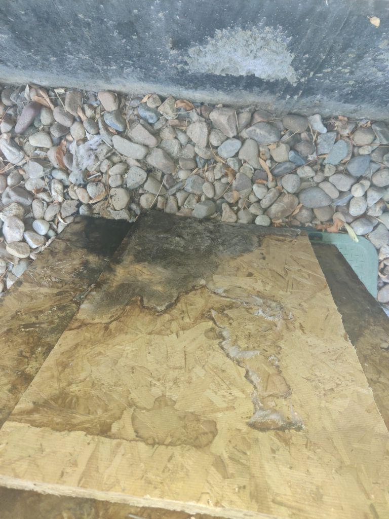 Mold Remediation in Bathroom by Accountable Home Services