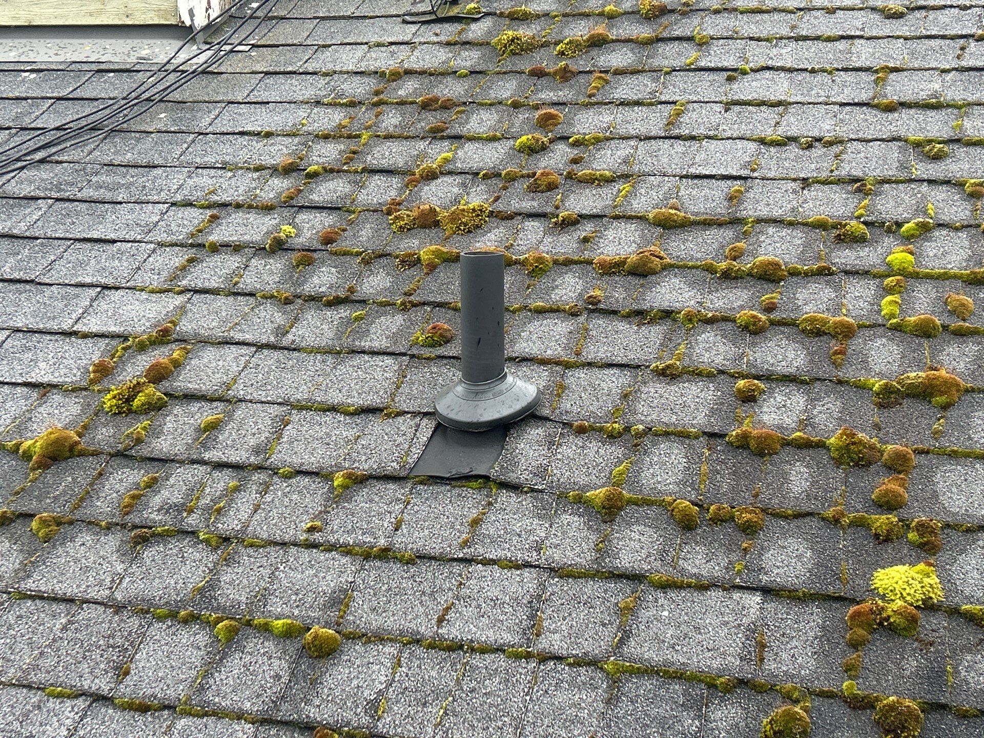 Project in Bellevue by Connolly Construction Company