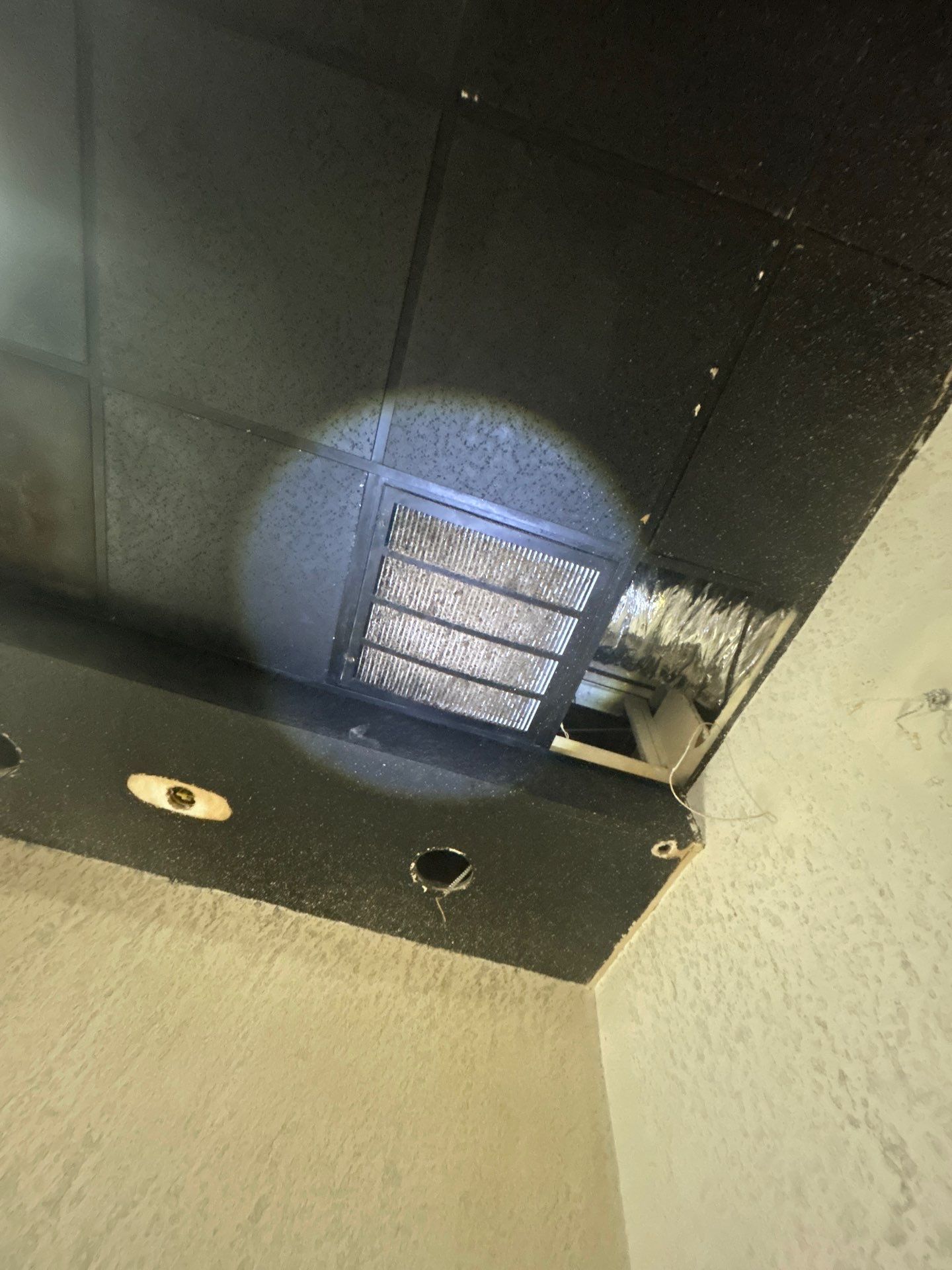 Commercial Building Mold Removal In Clearwater by Ampm Restoration Services