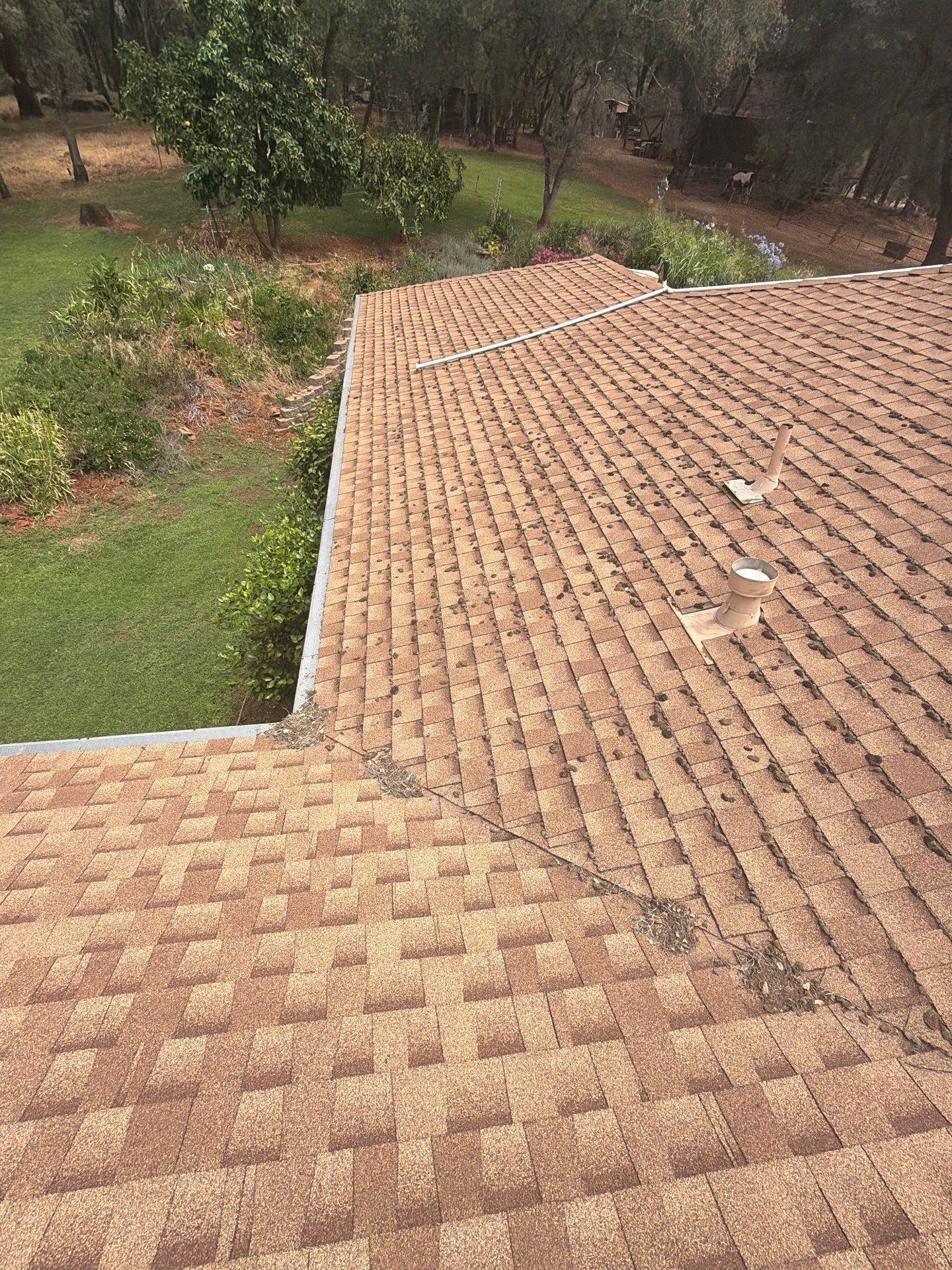 Roof Rejuvenation using Roof Maxx Treatment by Roof Maxx of Folsom