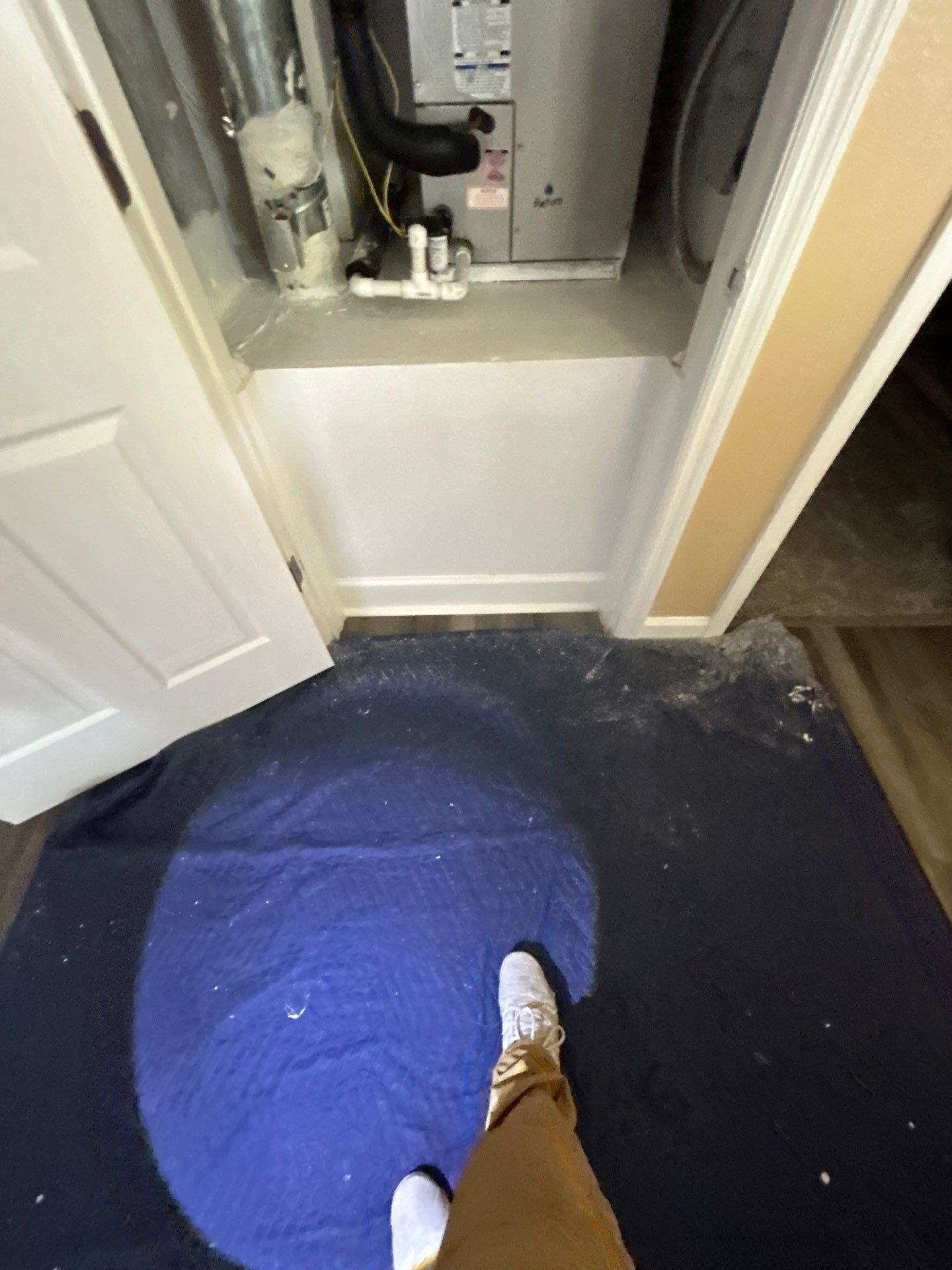 Sarasota Mold Damage by Ampm Restoration Services
