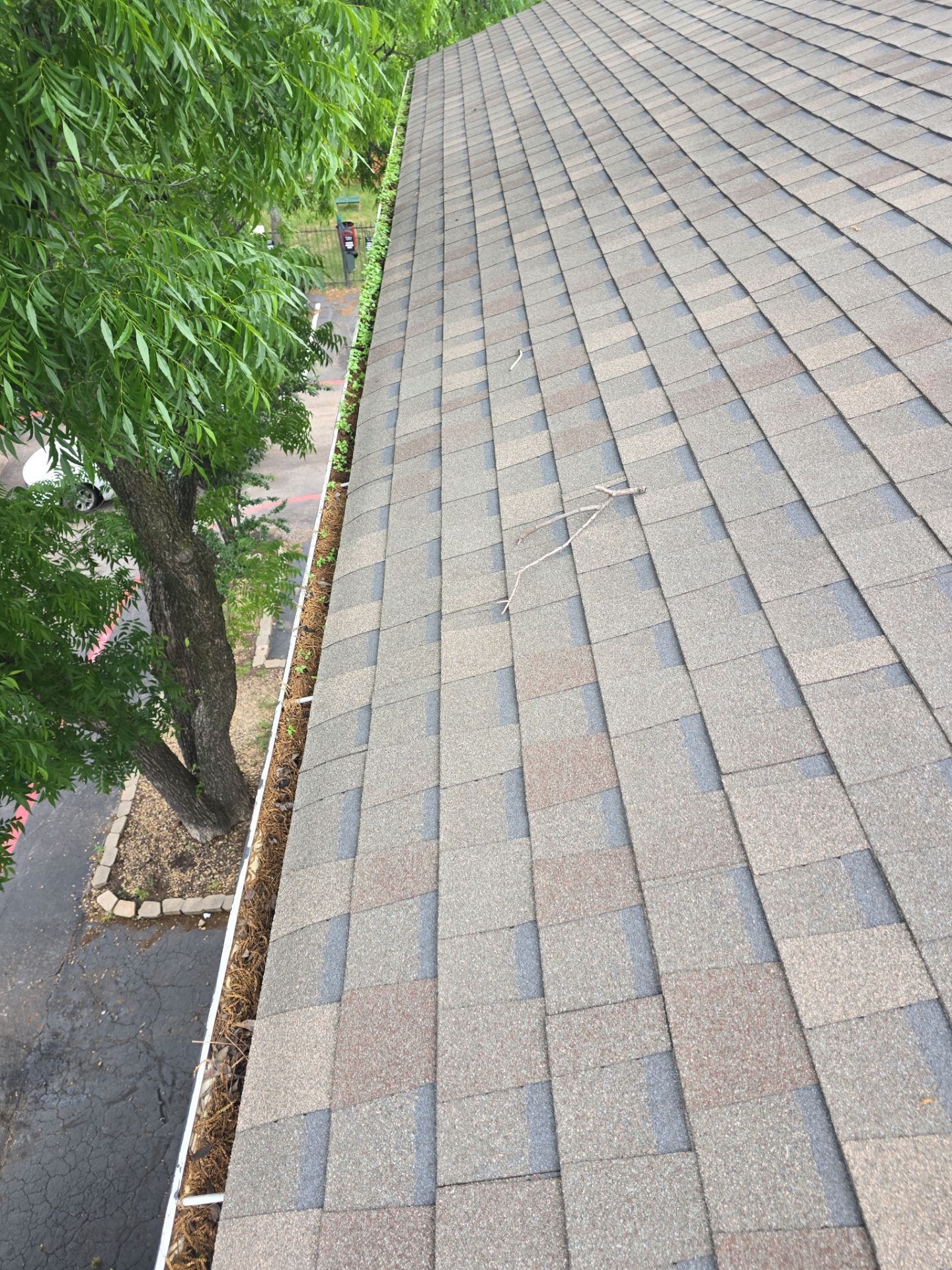 Commercial gutter cleaning Dallas & Fort Worth before photo with filled gutters