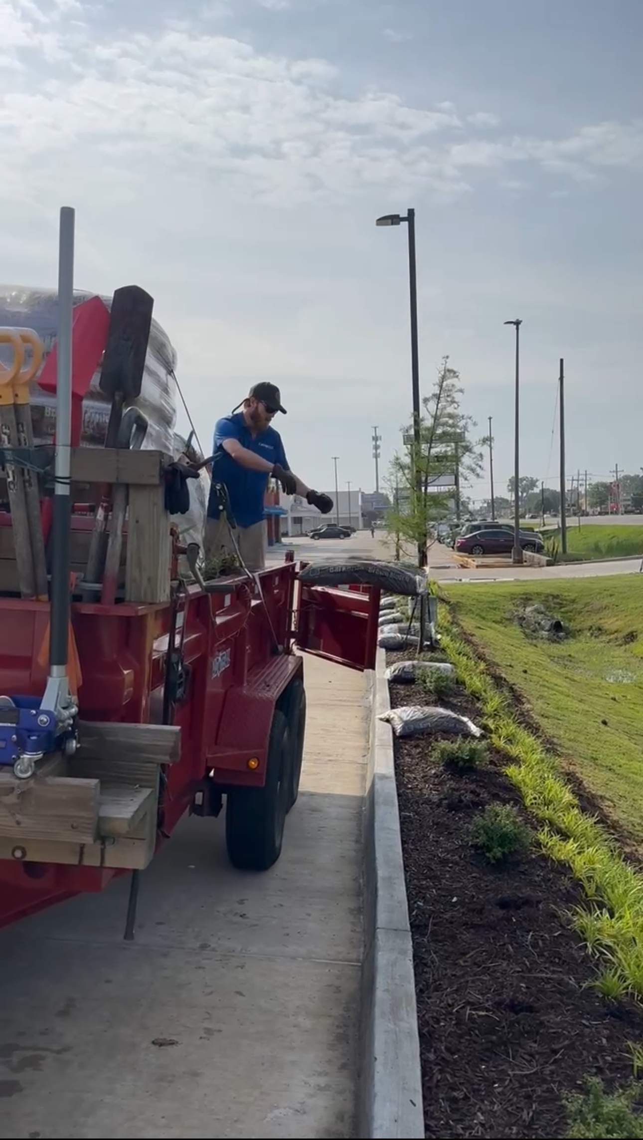 COMMERCIAL LAWN MAINTENANCE: HEDGE TRIM / BED CLEAN / MULCH INSTALL using BROWN MULCH "BARK BRITE" by CutScape, LLC.