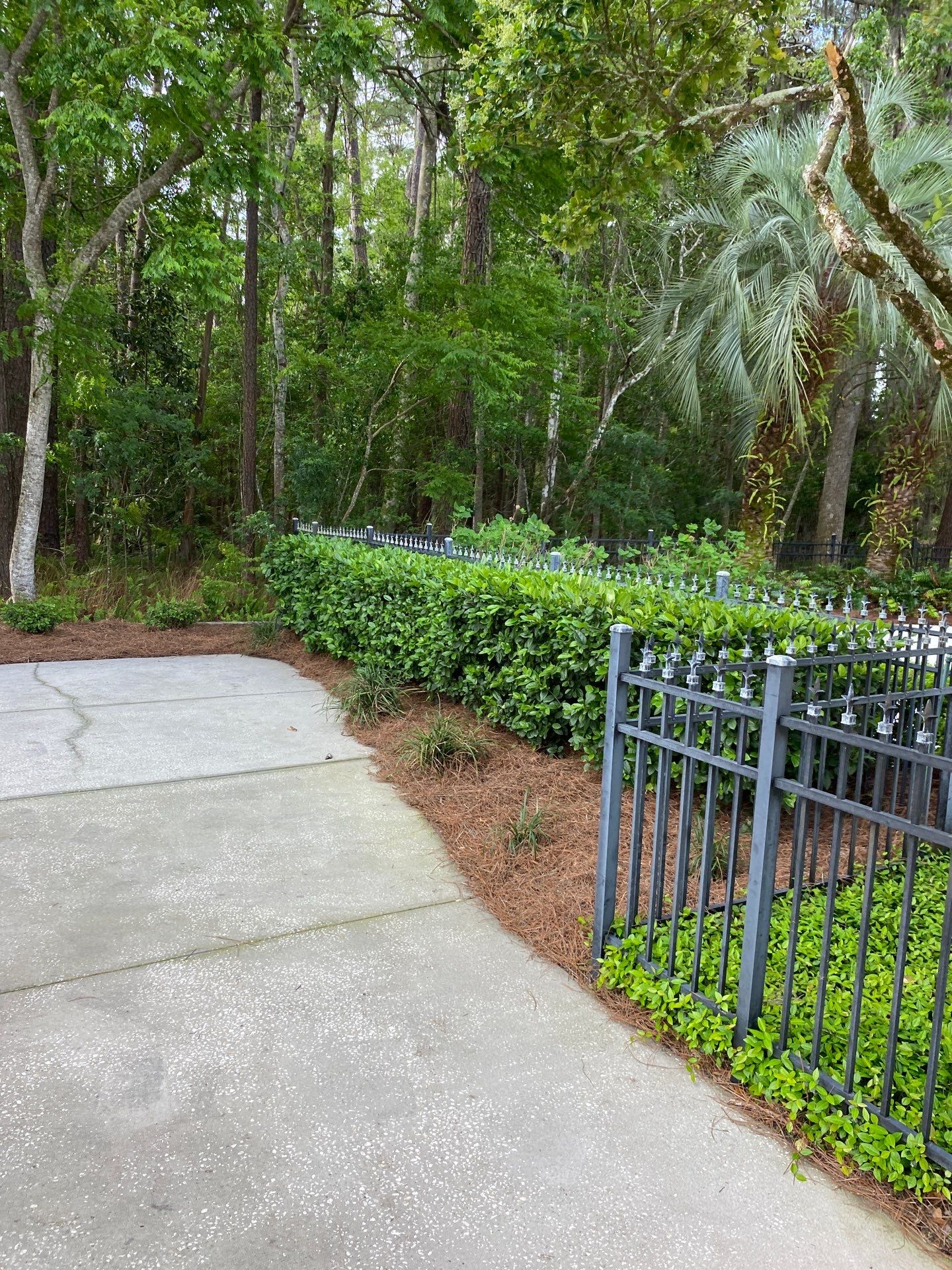 Deerwood Resident | Pine Straw Installation by ProGreen Services
