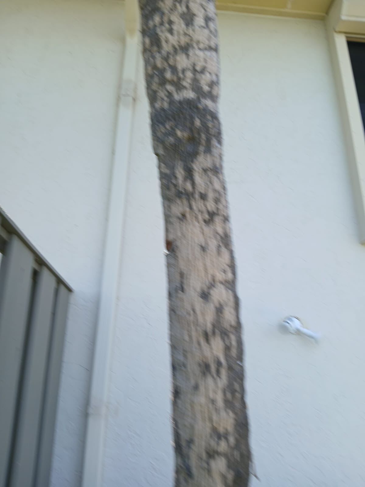 Commercial Gutter Systems for Businesses in Holmes Beach FL by Gutter Professors