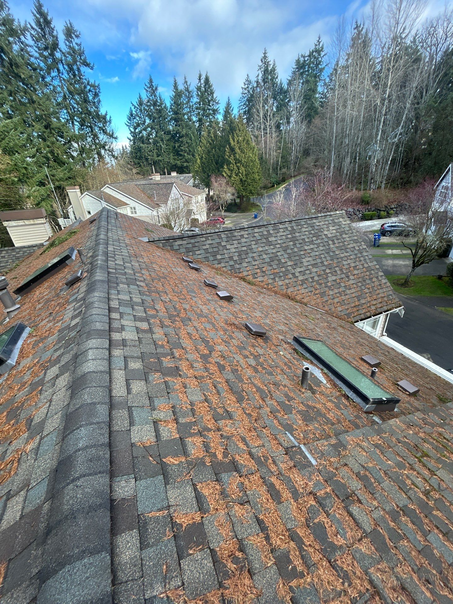 Project in Bothell by Peaks and Valleys Construction
