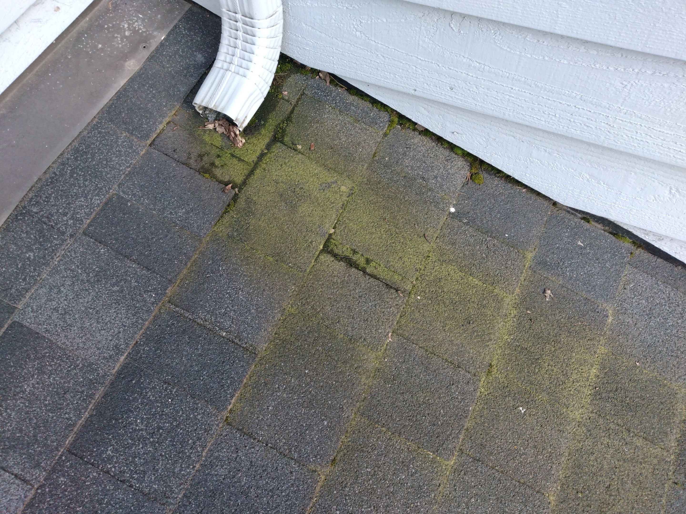 Roof Cleaning  using Moss Treatment  by BEST Roofing & Waterproofing